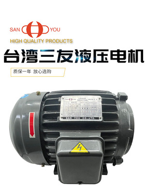 SANYOU三友3-PHASE电机1HP 0.75 2HP 1.5kw 3HP 2.2 5HP 3.7 5KW
