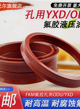 氟胶孔用Y型油封ODU170/175/180/185/190*154/159/164/169/174*18