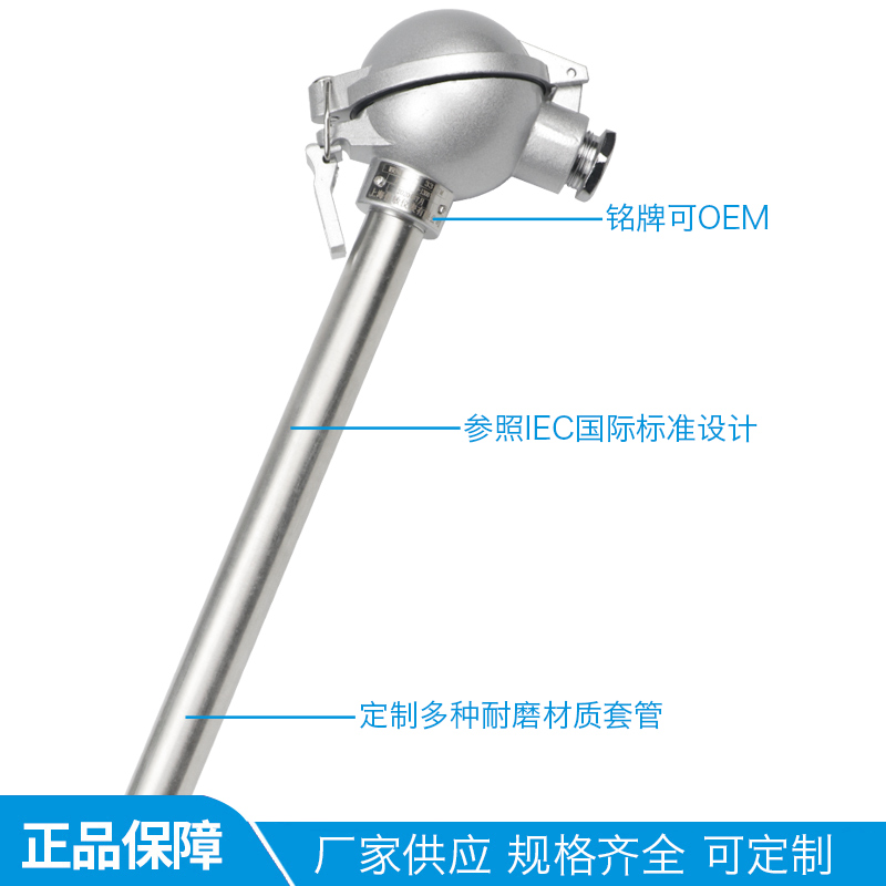 耐磨热电偶水泥厂专用点