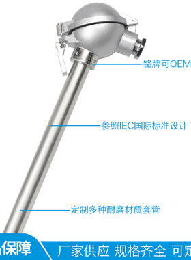 耐磨热电偶水泥厂专用点