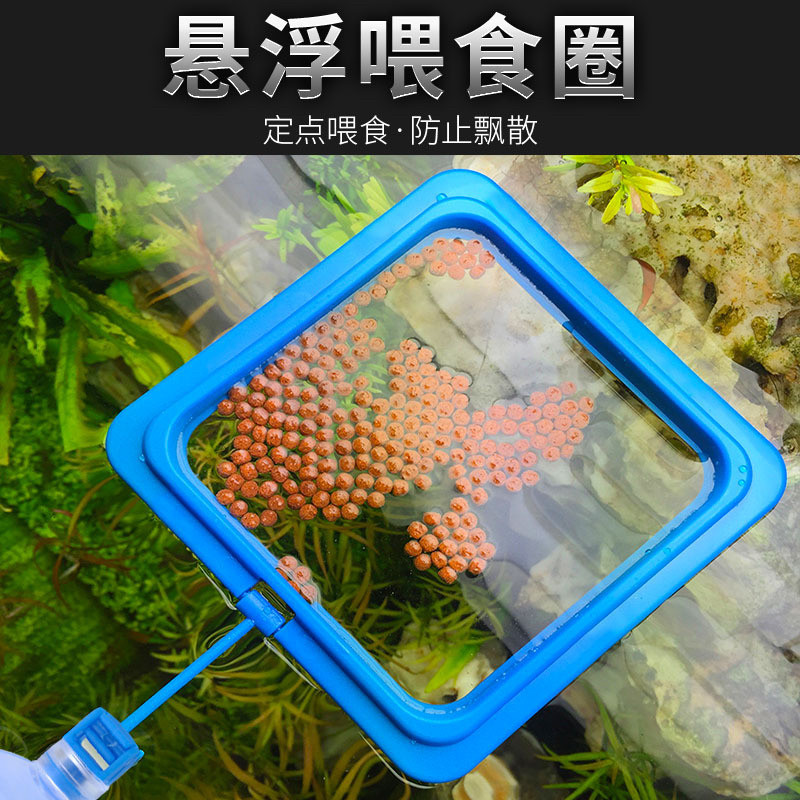 鱼缸喂食器投食圈小型热带观赏鱼孔雀鱼饲料投喂水族箱定点喂吃圈