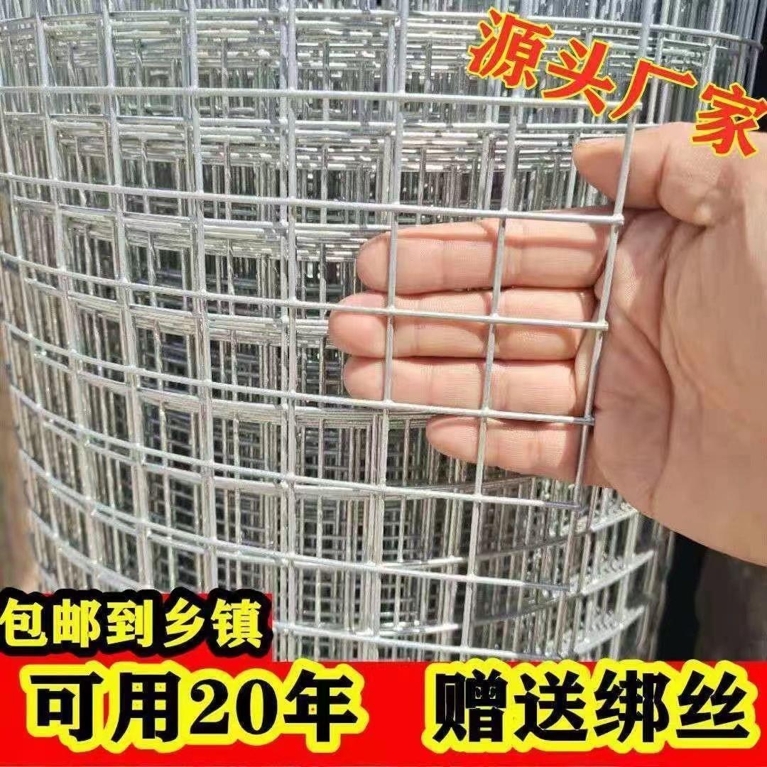 热镀锌铁丝网围栏网养殖网钢丝网拦鸡网建筑网防护网铁网格玉米网