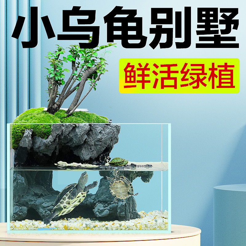 鱼缸小型家用超白玻璃桌
