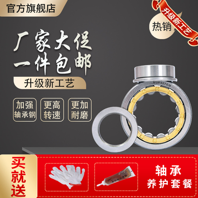 二类圆柱滚子高速轴承进