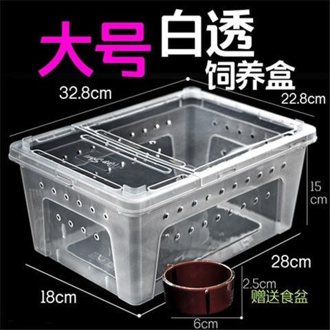 爬宠饲养盒蜗牛蜘蛛角蛙