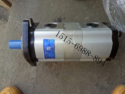 原装正品HCHC合肥长源液压CBQT-E653/F425-AFPL AFH6 双联齿轮泵