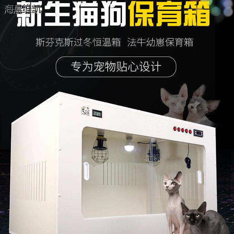 宠物猫狗无毛斗牛泰迪芦