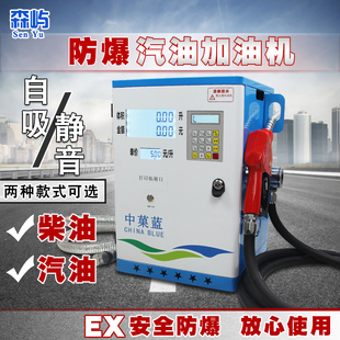 森屿大流量柴油加油机卷盘一体机车载汽油防爆加油机220V12V24V
