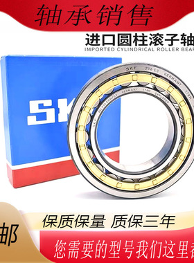 进口SKF圆柱滚子轴承N NU NJ202 203 204 205 206 207 208ECMZ1C3
