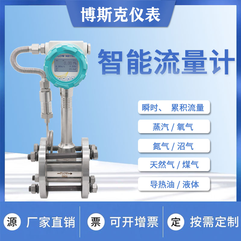 DN25一氧化氮流量计温压补偿远传4-20ma数显防爆氧气管道流量计