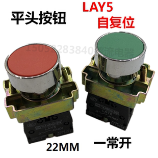 平头按钮LAY5 10按钮22MM自复位点动按钮一常开LAY5红绿开关