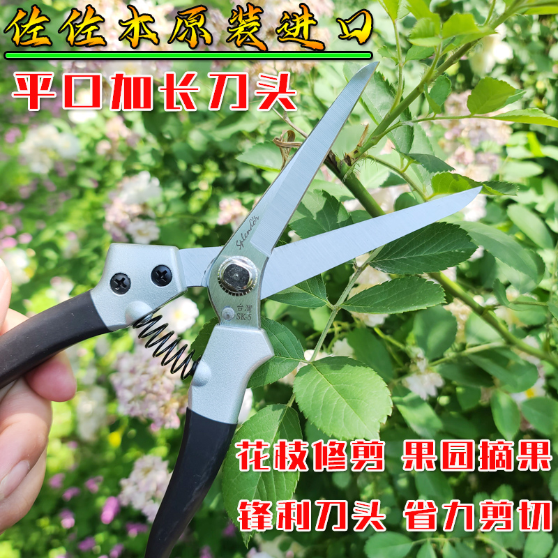 进口原装佐佐木摘果剪多功能葡萄花艺修花剪刀稀花剪摘果花枝剪刀