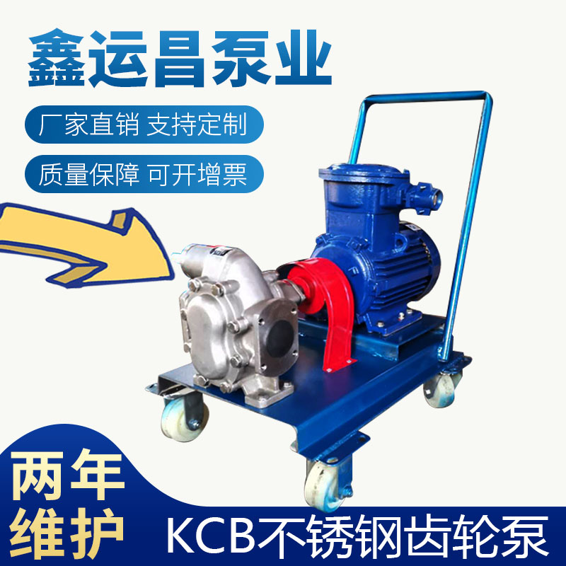供应KCB200不锈钢齿轮油泵食品卫生泵化工泵耐腐蚀泵304自吸泵