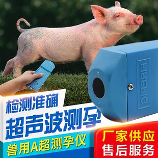 母猪测孕仪测孕机山羊母猪测孕仪怀孕检测养殖器械便携A超测孕机