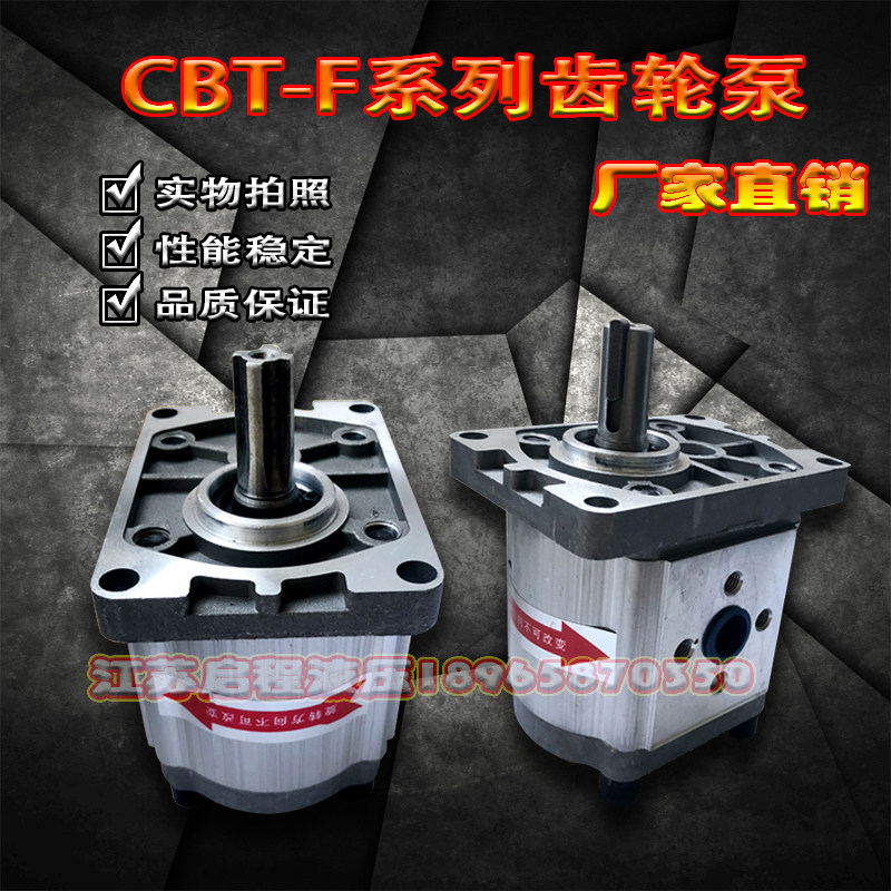 齿轮泵 液压油泵 CBT-F310 CBT-F306 CBT-F320 CBT-F314 CBT-F316,3C数码配件,USB多功能数码宝,淘宝优惠券,粉丝福利购,淘宝优惠卷