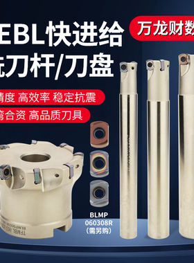 TEBL06快进给双面铣刀杆特固克BLMP0603R刀片数控开粗面铣刀盘