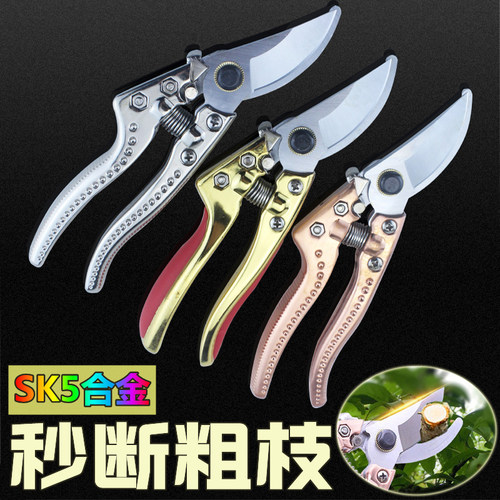 德国剪枝剪刀家用园艺专用省力花剪日本SK5进口粗枝花草修枝剪