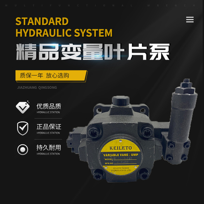 台湾凯利通液压变量叶片