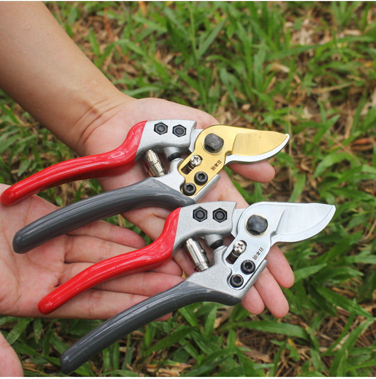 剪枝剪sk5钢强力园艺剪剪枝剪刀省力修剪枝果树粗枝树枝专用剪