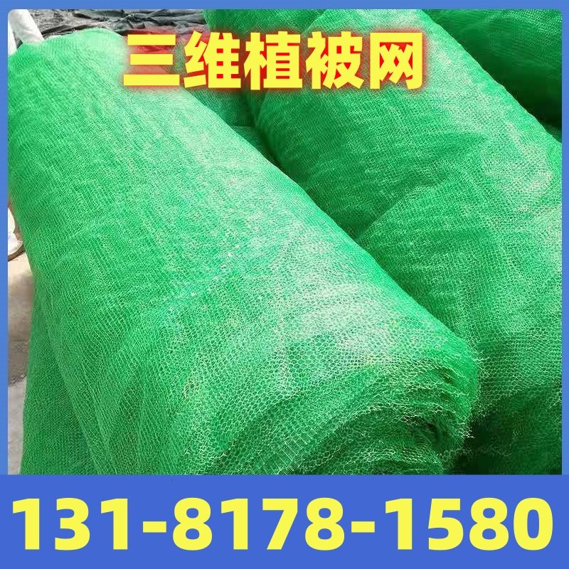 绿色镀高尔凡加筋麦克垫 三维植被网 土工网垫护坡固土水土保护毯,鲜花速递/花卉仿真/绿植园艺,洒水/浇水壶,淘宝优惠券,粉丝福利购,淘宝优惠卷