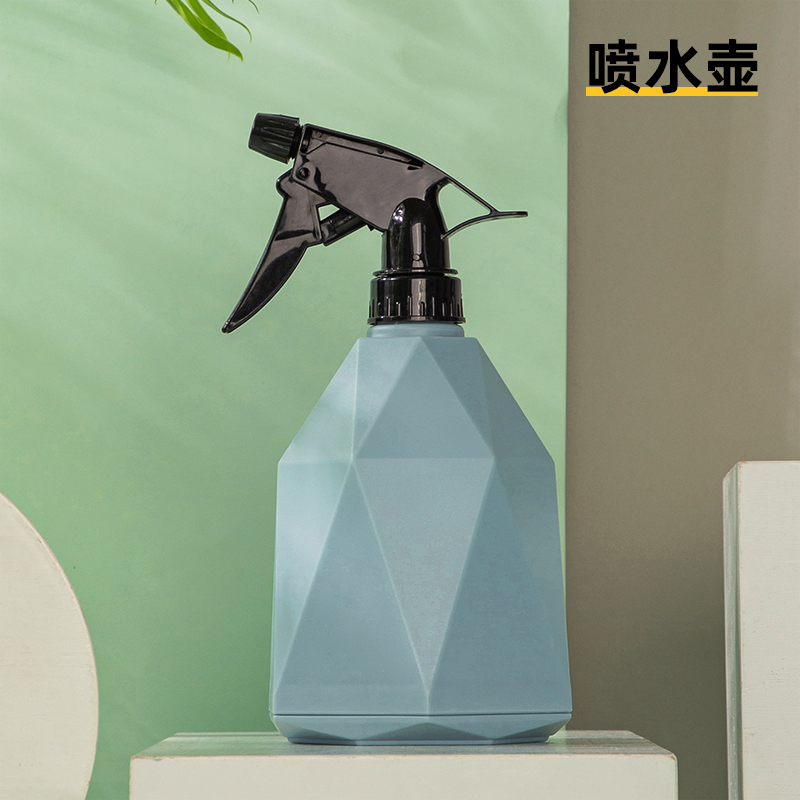 消毒喷壶浇花家用水专洒