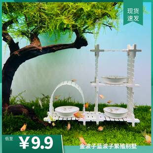金波子繁殖屋别墅架蓝波子荷兰凤凰繁殖架水族鱼缸造景