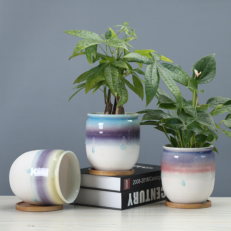 欧式花盆陶瓷多肉老桩创意个性简约仙人球肉肉白掌红掌小绿植花盆