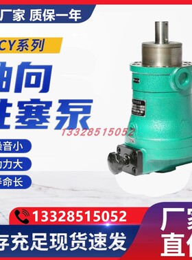 新款上海邵扬轴向柱塞油泵10MCY14-1B 25YCY 5 40 63 80 32PC包邮