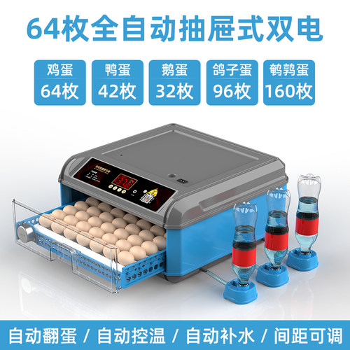 孵化器小型家用孵化机孵蛋器小鸡蛋的机器教学孵化箱全自动智能