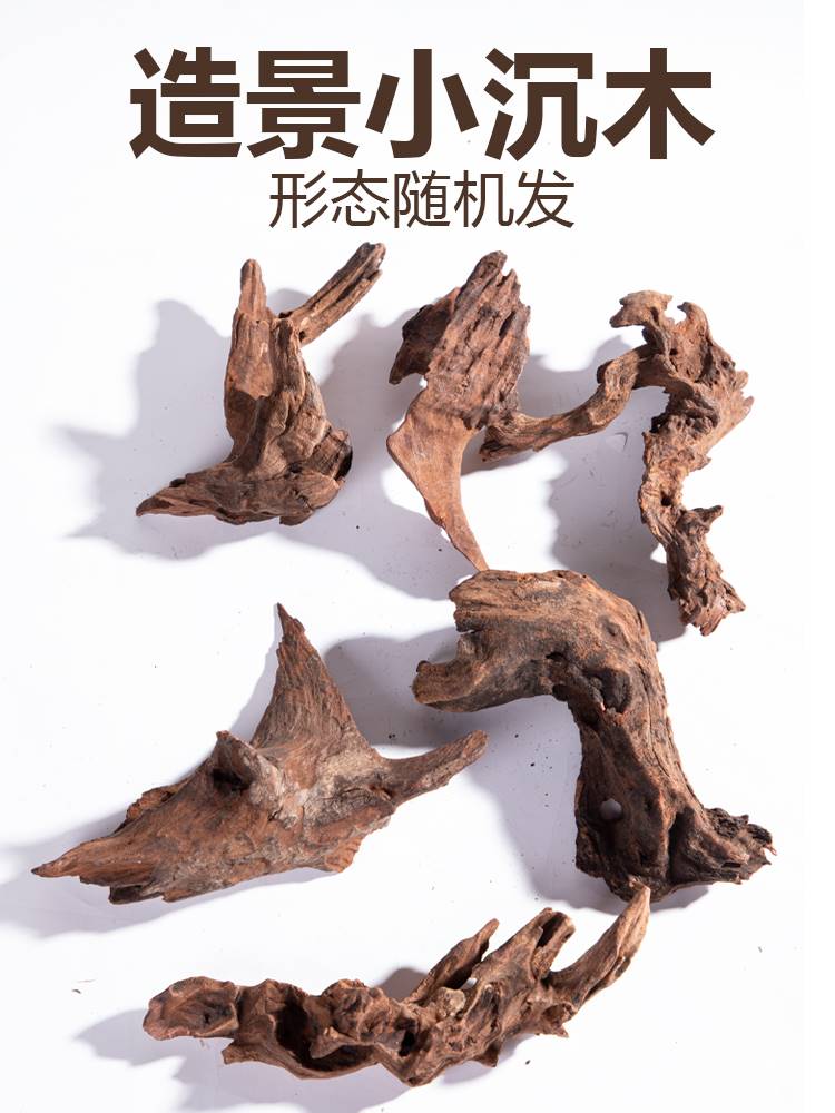 鱼缸造景天然小沉木秒紫