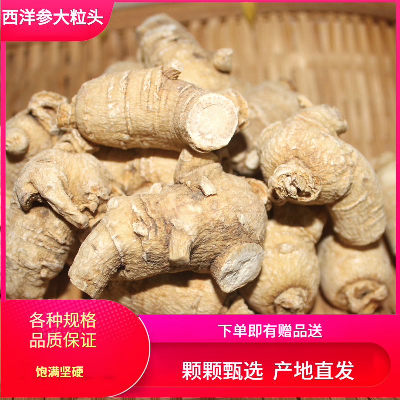 长白山正宗西洋参粒头级东北洋参西洋叁整枝支切片花旗参段根