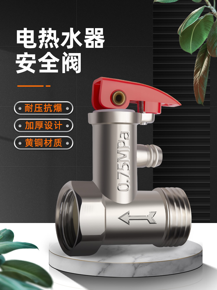 全铜加厚电热水器安全阀家用泄压阀单向止回减压阀排气阀通用配件