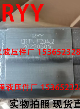 TRYY CBT1-F204.2 CBTI-F207.8 F205.8 F206.8 F204.8 F202.1油泵