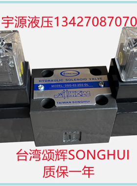 SONGHUI台湾DSG-02-2D2-DL液压电磁阀DSG-02-2D2-LW AC220V  D24V