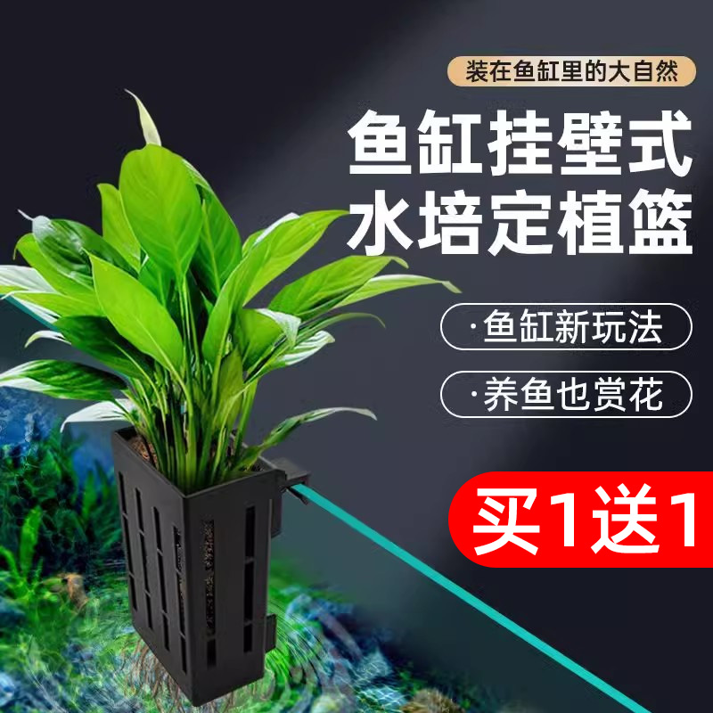 水培固定篮鱼缸挂壁式水草种植杯植物定植容器乌龟缸造景装饰摆件
