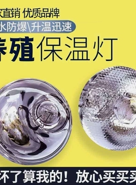 德国进口猪用保温灯养殖