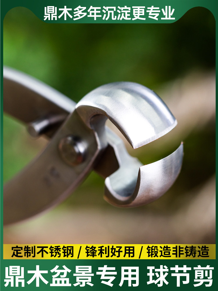 盆景修剪造型专用工具制作花艺剪不锈钢球形球型钳枝剪刀球节剪枝
