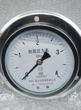 直径100mm 轴向带边耐震压力表 压力4mpa M20X1.5雷尔达牌YN100ZT