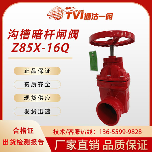 塘沽一阀球墨铸铁沟槽明