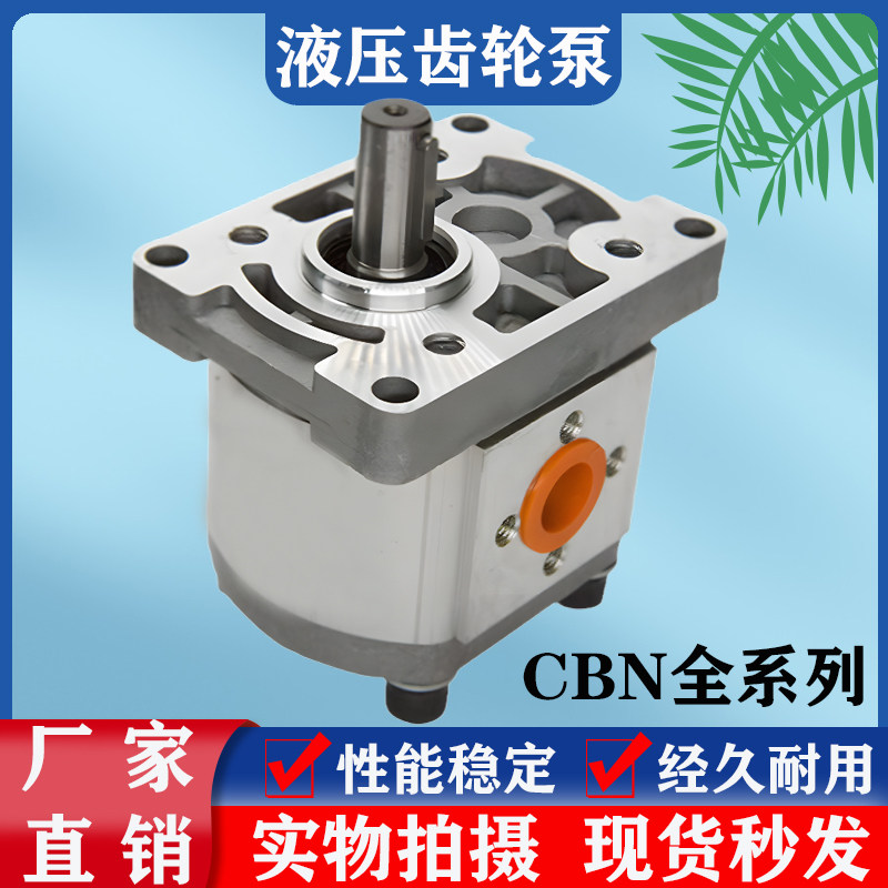 液压齿轮泵油泵总成CBN-F310/314/316/20/25小型高压油泵大全泵头,3C数码配件,USB多功能数码宝,淘宝优惠券,粉丝福利购,淘宝优惠卷