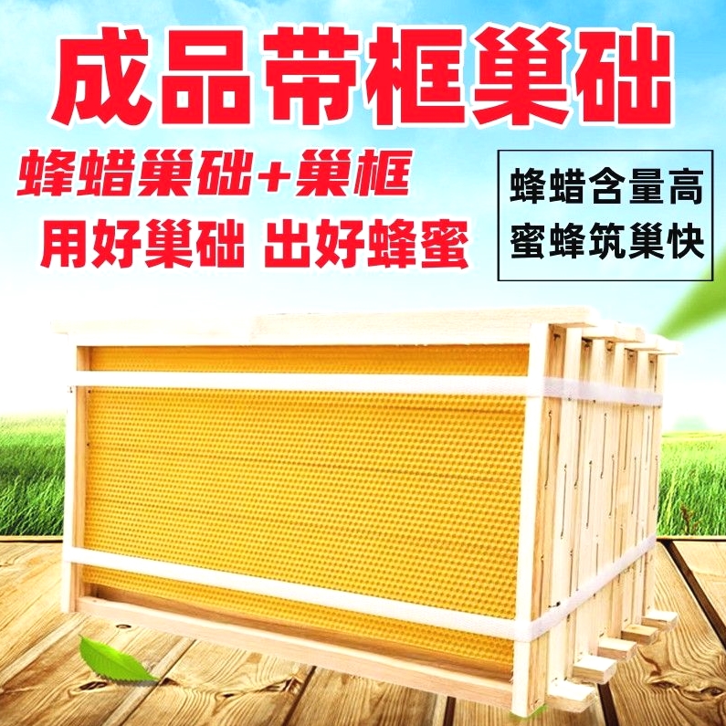 德国进口优质成品巢框带蜜蜂巢础巢脾中蜂意蜂蜂框蜂巢上好钢丝带
