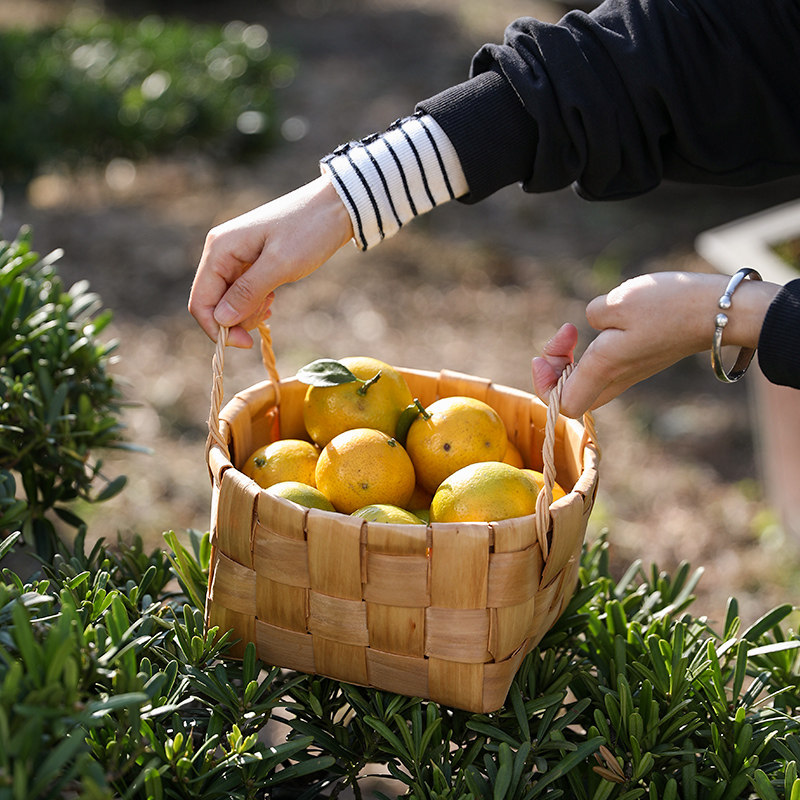 田园风日式水果篮零食面包收纳筐 礼品篮编织篮子野餐篮木片篮