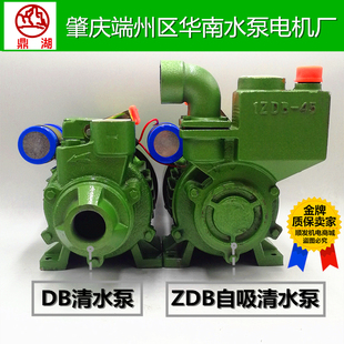 肇庆市端州区华南水泵电机厂鼎湖牌1ZDB/DB35/45/65型自吸清水泵