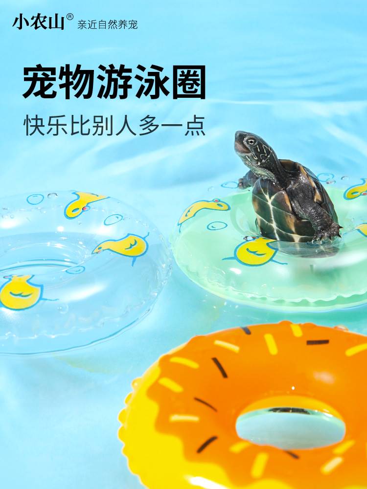 宠物小乌龟游泳圈移动晒