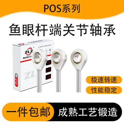 带油嘴鱼眼杆端关节轴承