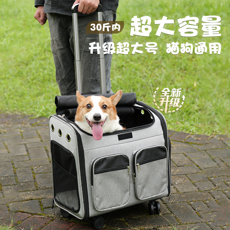 宠物拉杆箱狗狗外出包小
