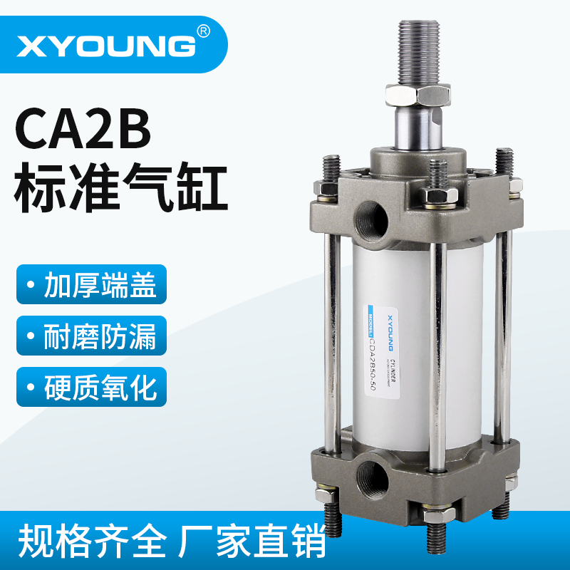 CA2B100-25标准气缸CA2B100-50带磁标准缸CDA2B100-75气动CA2B100