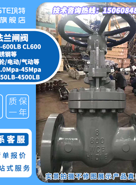 WCB WC6 WC9 LCB LCC美标磅级法兰闸阀 阀门Z41H/Y-CL600LB Z40HY