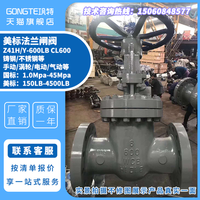 WCB WC6 WC9 LCB LCC美标磅级法兰闸阀 阀门Z41H/Y-CL600LB Z40HY