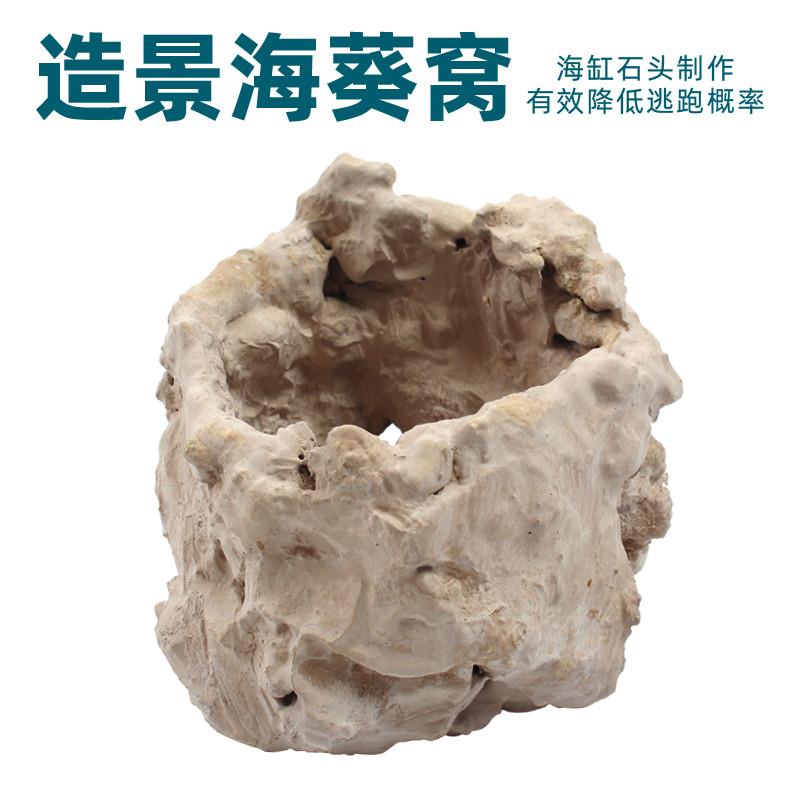 奶嘴海葵窝屋家巢活石手图片